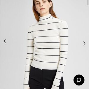 Theory Stripe Turtleneck Sweater